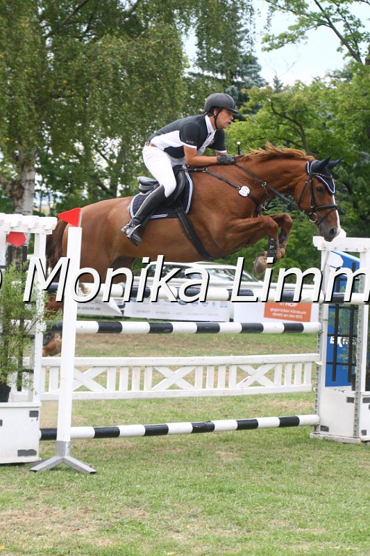 308M4032_Tabaluga_Zwei Phasen Sx.JPG